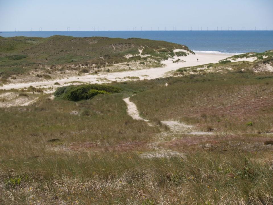duinen bij de kerf
